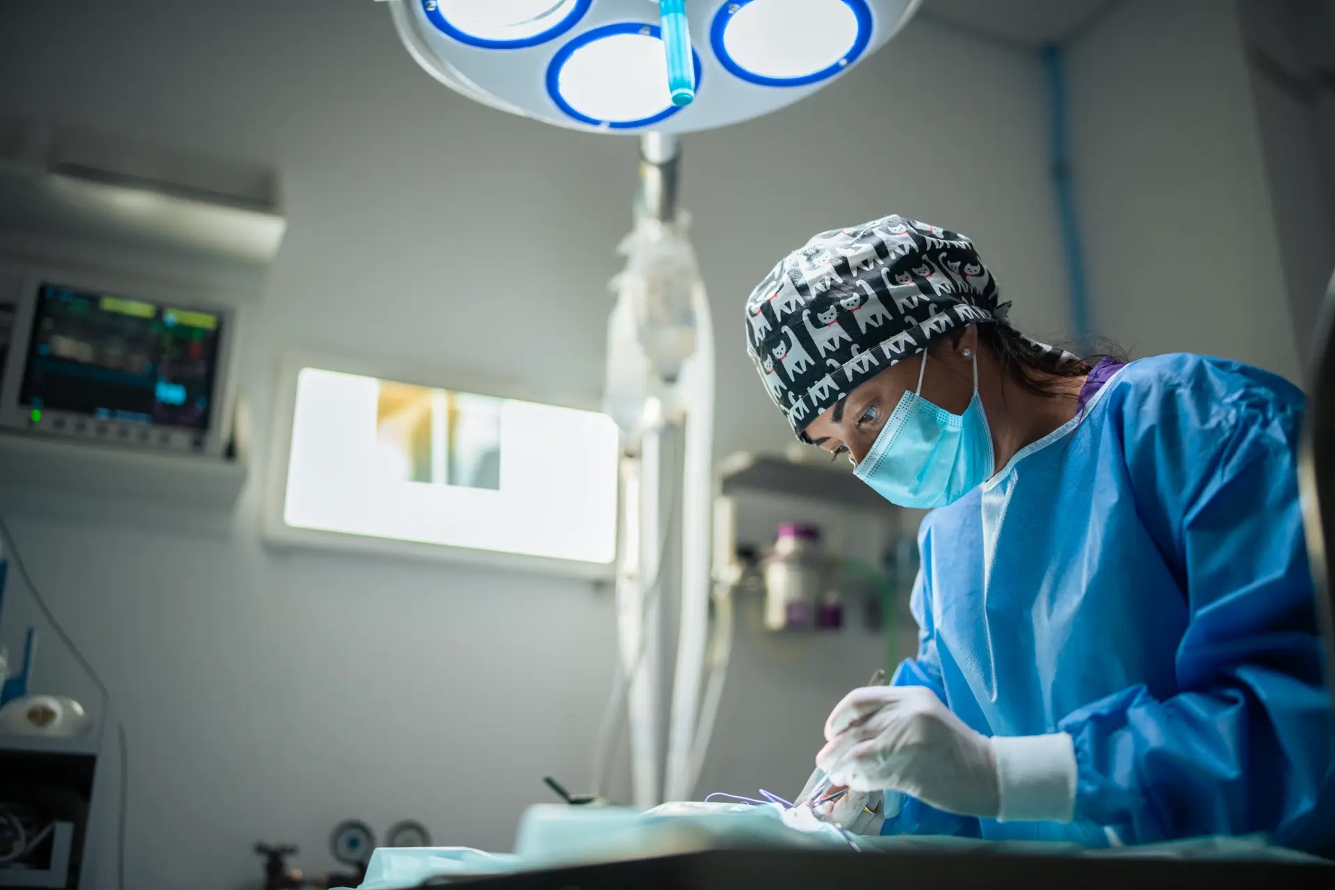 Chirurga veterinaria in sala operatoria hi-tech opera su cane anestetizzato, con precisione e dedizione.